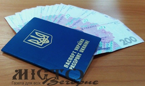 В Україні планують ввести економічний паспорт 