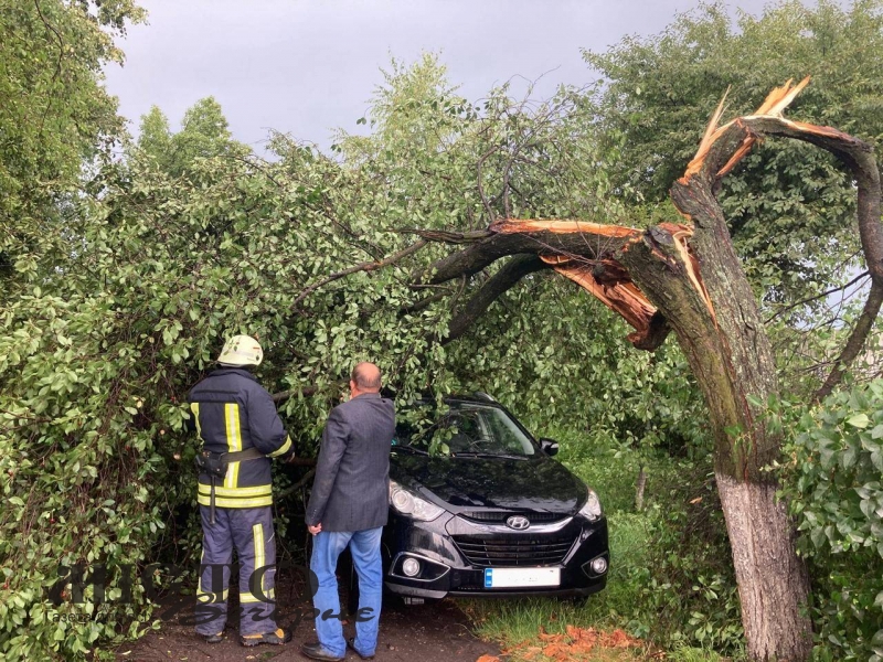 У Поромівській громаді рятувальники вивільнили з-під зламаного дерева легковик 