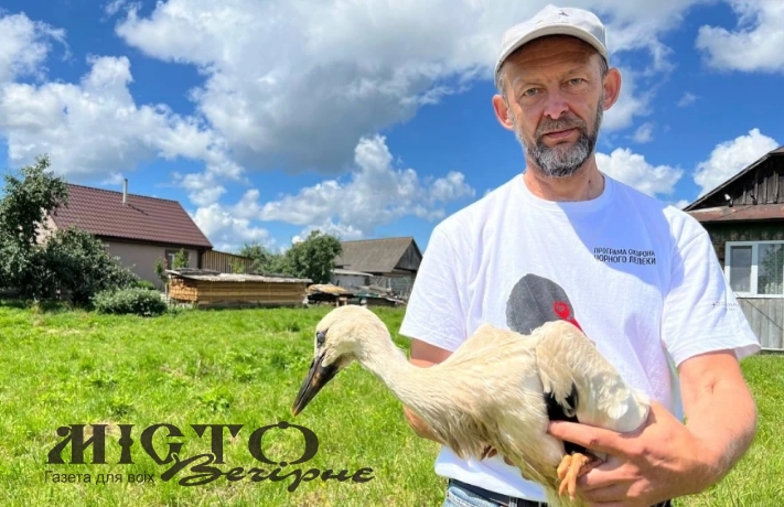 За волинськими лелеками стежитимуть через супутник 