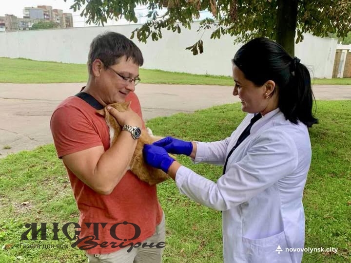 У Нововолинську проведуть мобільну вакцинацію домашніх улюбленців 