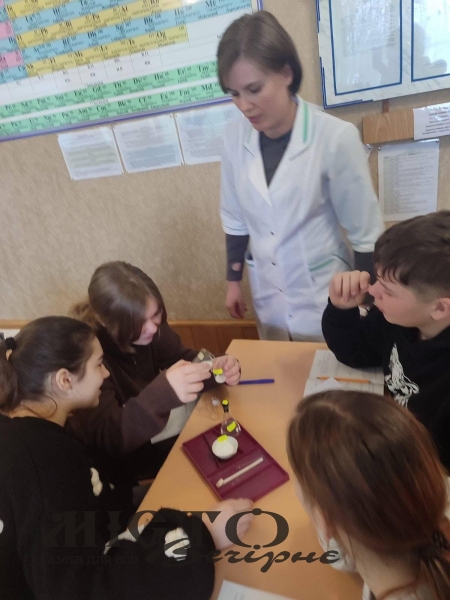 У ліцеї Затурцівської громади проходив місячник педагогічної майстерності 