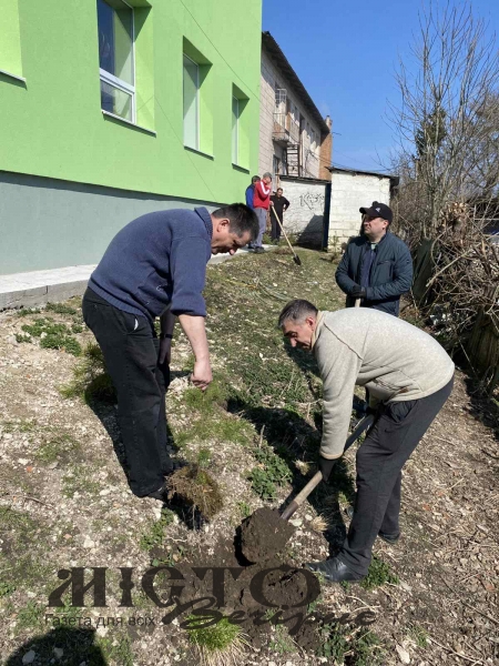 У Локачах висадили понад 300 саджанців молодих дерев 