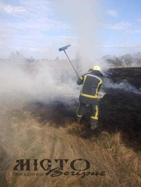 Пожежа у Локачах: рятувальники ліквідували займання сміття на відкритій території 