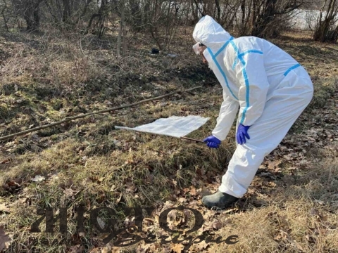 На Волині 68 людей постраждали від укусів кліщів 