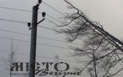 Шквальний вітер залишив без світла 300 населених пунктів на Волині 