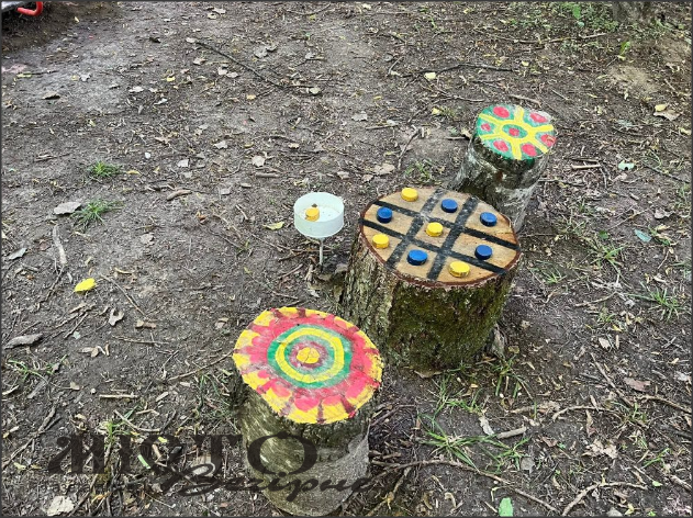 В зоні відпочинку поблизу Іванич на пеньках створили гру «Хрестики-нулики» 