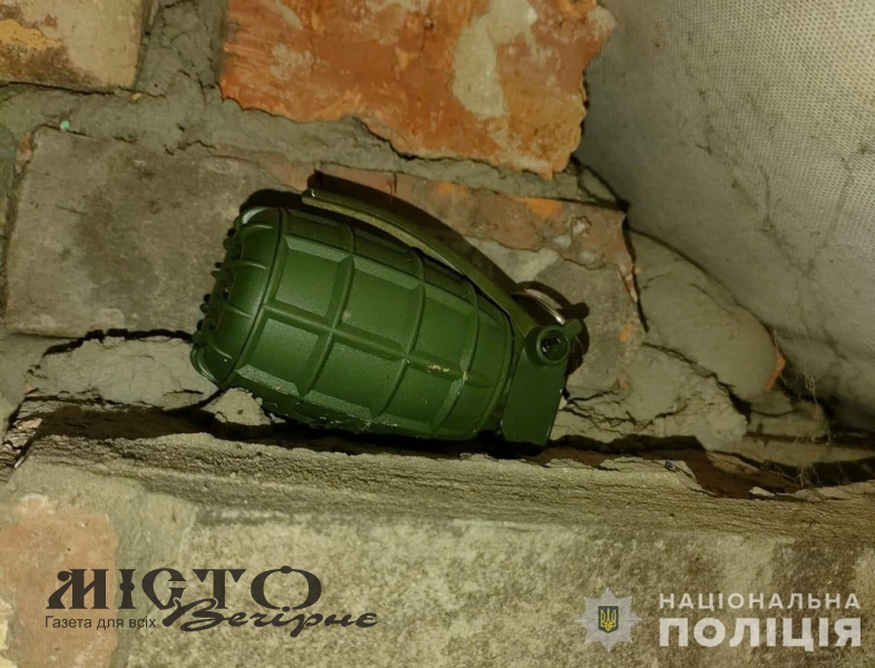 Зберігав на горищі: поліцейські вилучили у жителя Іванич заборонені предмети 