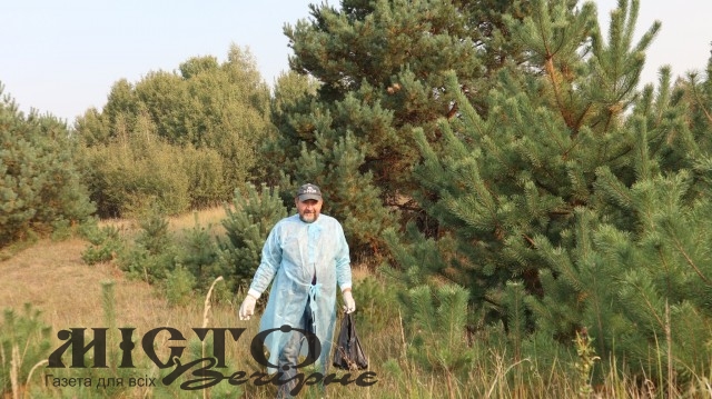 На Волині за 10 днів розкидали понад 375 тисяч приманок з вакциною проти сказу 