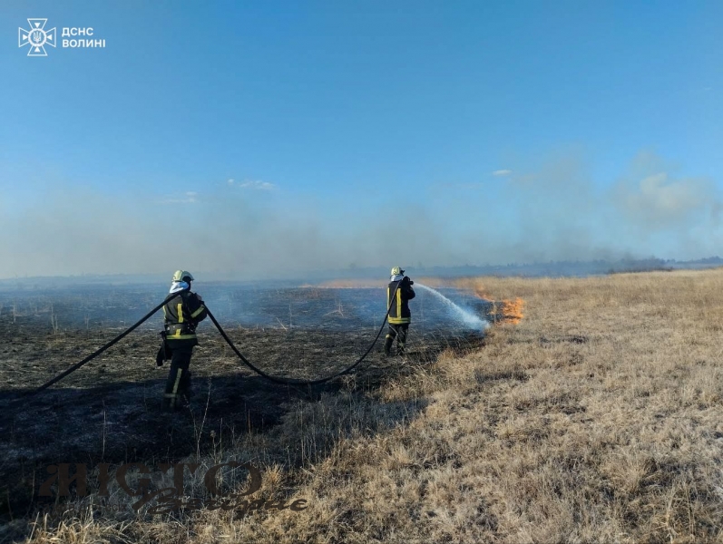 21 пожежа за добу: рятувальники борються із вогнем в екосистемах Волині 