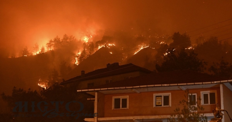 У Туреччині вирують масштабні лісові пожежі, загинули 14 людей 