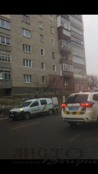 У Нововолинську два екіпажі поліції втихомирювали агресивного водія 