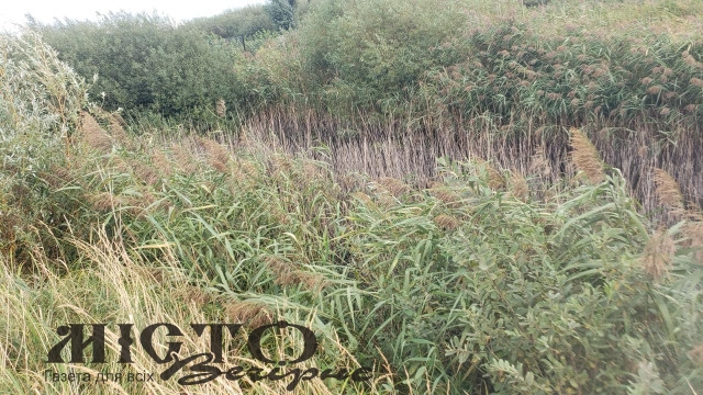 Зимнівська громада віддає на 10 років два ставки 