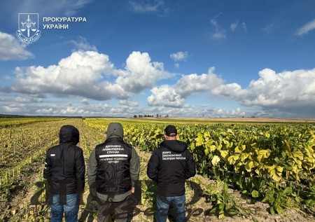 Медіа з’ясували, кому належать плантації тютюну на 40 гектарів, що виявили у Поромівській громаді 