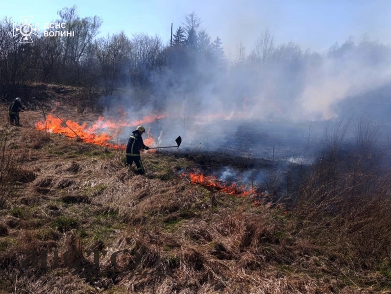 У вихідні на Волині зафіксовано низку пожеж в екосистемах 