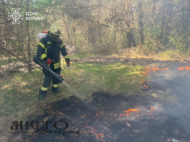 Пожежа через недопалок: у Володимирському районі горіло 1,3 га лісу 