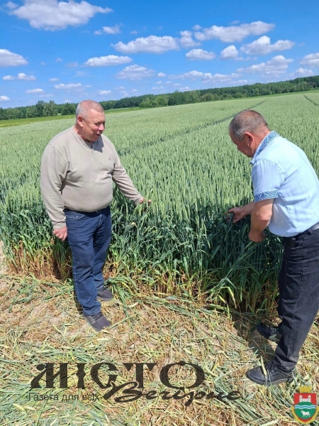 У Затурцівській громаді провели аграрний семінар на базі фермерського господарства «Павловичівське-Ш» 