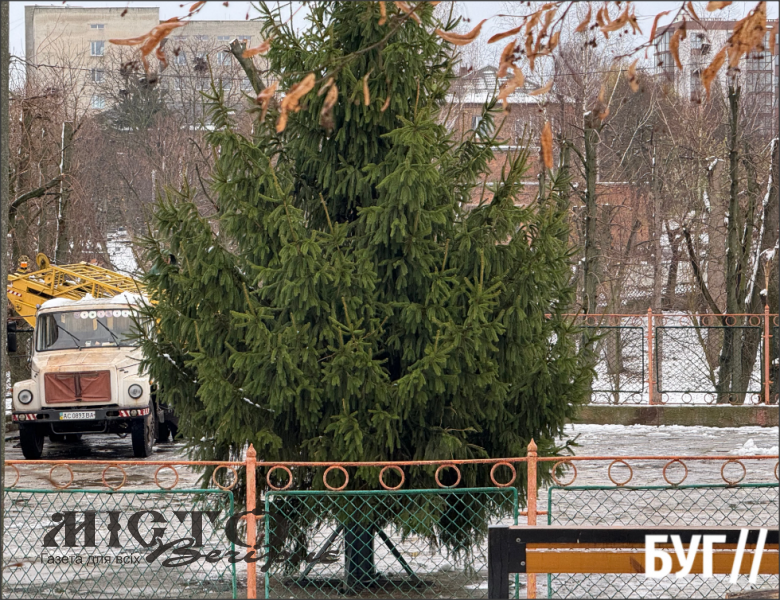 У міському парку встановили головну ялинку Нововолинська 