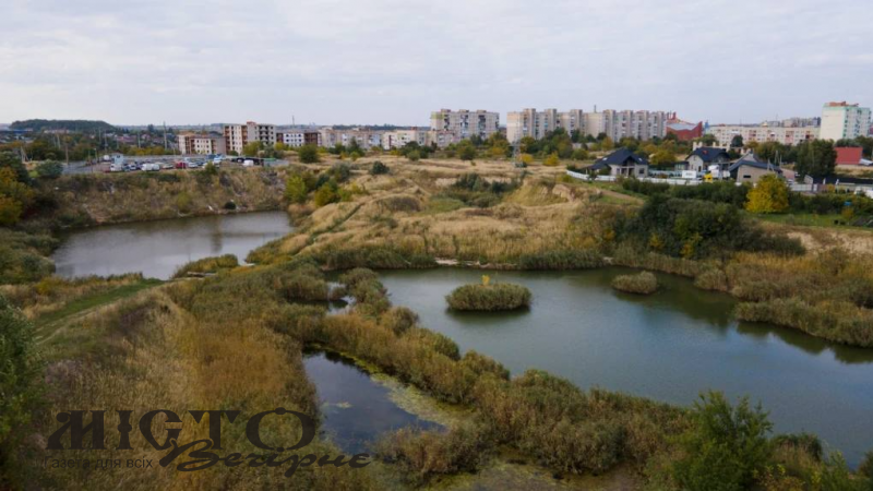 У Нововолинську знайшли мертвою жінку, яка зникла 4 місяці тому 