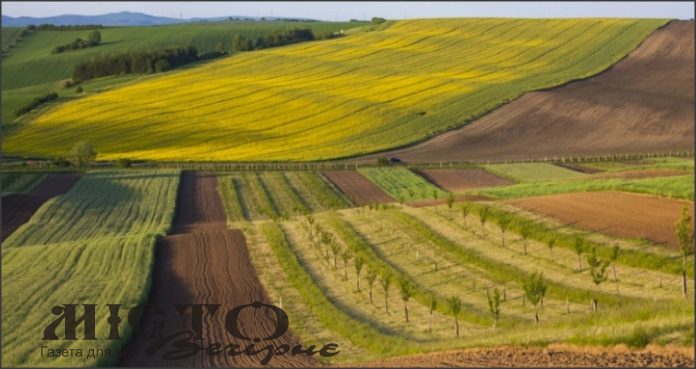 На Локачинщині чоловік засіяв частину земельної ділянки водного фонду: суд наклав штраф на порушника 