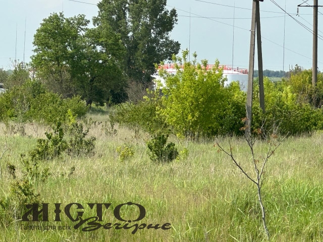 У Володимирі за 5,2 млн продають комунальну землю 