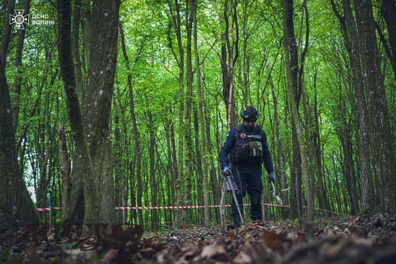 У Затурцівській громаді піротехніки ДСНС розміновують територію урочища Липинщини 