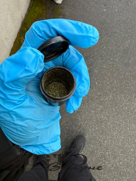 На Волині митники тричі виявили канабіс у водіїв на кордоні з Польщею 