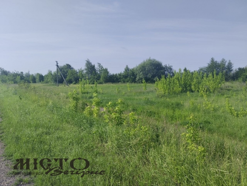 Литовезька громада продає за пів мільйона комунальну землю 