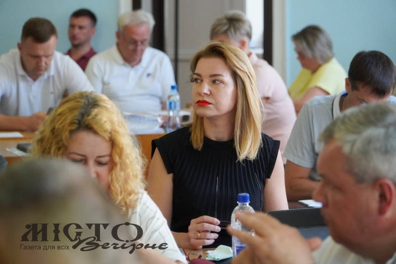 У Володимирській міській раді ухвалили рішення щодо землі на вулиці Луцькій для сонячних станцій 