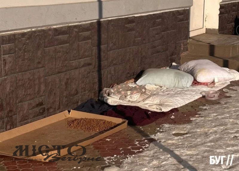 У Володимирі мешканці облаштовують «пункти тепла» для безпритульних собак 