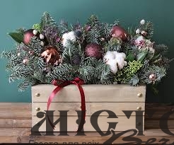 Учні Привітненського ліцею стали переможцями обласного етапу творчого конкурсу 