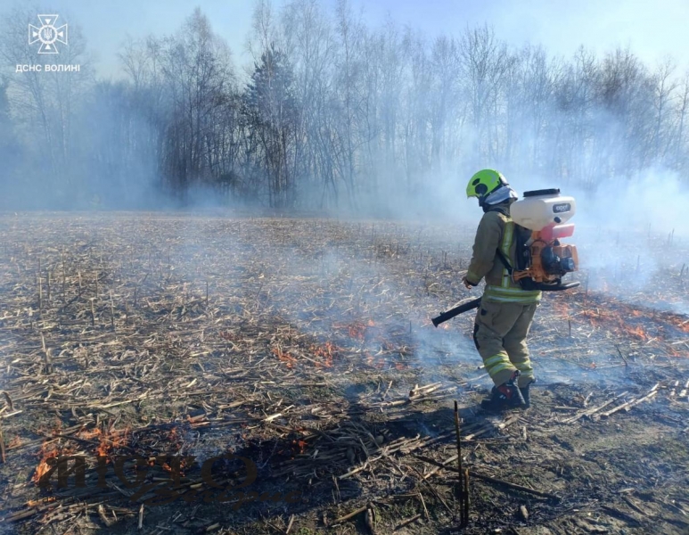 На Волині ліквідували чотири пожежі сухої трави 