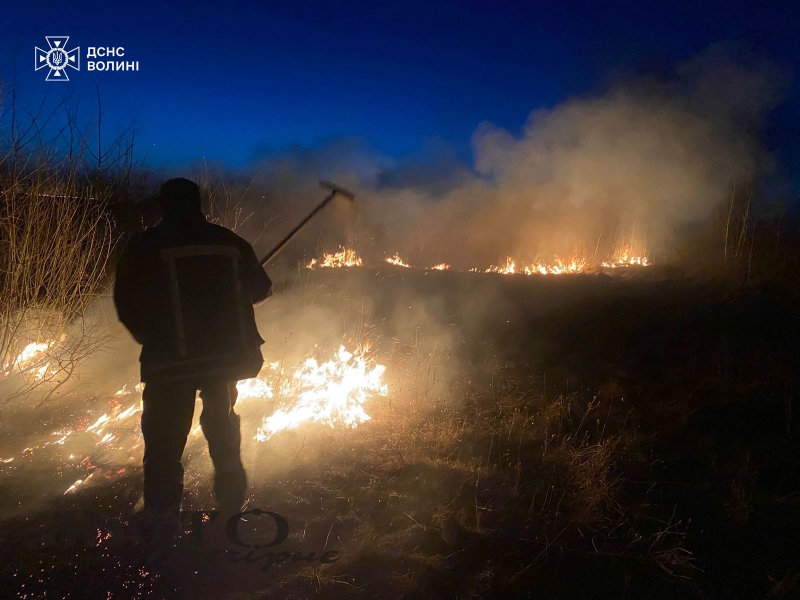На Волині протягом доби вигоріло близько 16 гектарів сухої трави 