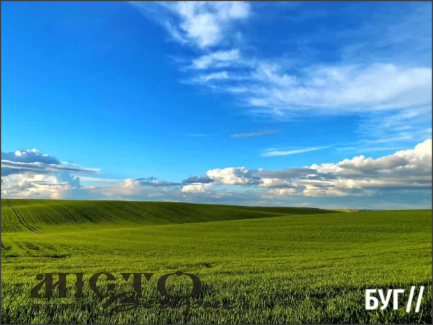 Мешканка села Володимирської громади спробувала відтворити відоме зображення – шпалери Windows XP 