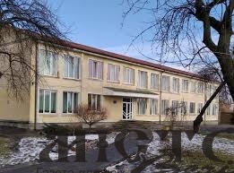 Проєкт команди гімназії ім. О. Цинкаловського отримав грант від Міжнародної організації з міграції ООН 