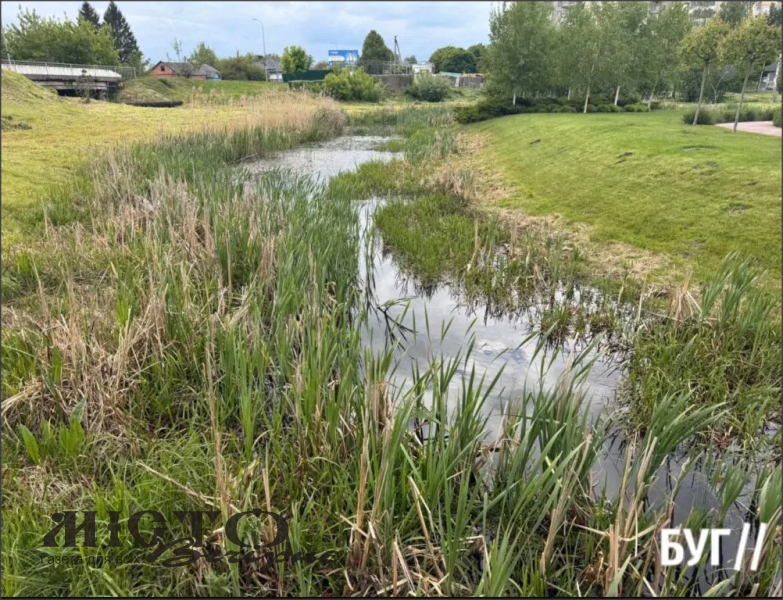 Міська влада планує нарешті почистити річку Риловицю 