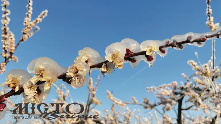 Квітень принесе похолодання в Україну: суне арктичне вторгнення зі Скандинавії 