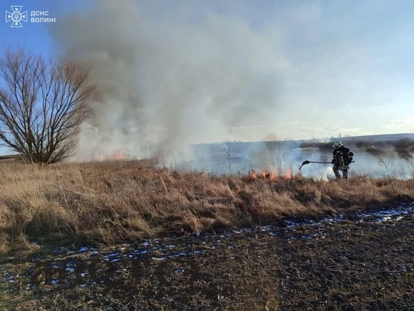 У Зимнівській громаді горіла суха трава 