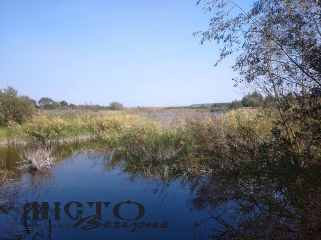 В Зимнівській громаді віддають за 50 тисяч комунальний ставок площею 3,8 гектара 