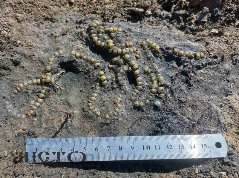 У Володимирі археологи знайшли скляне намисто княжої доби 