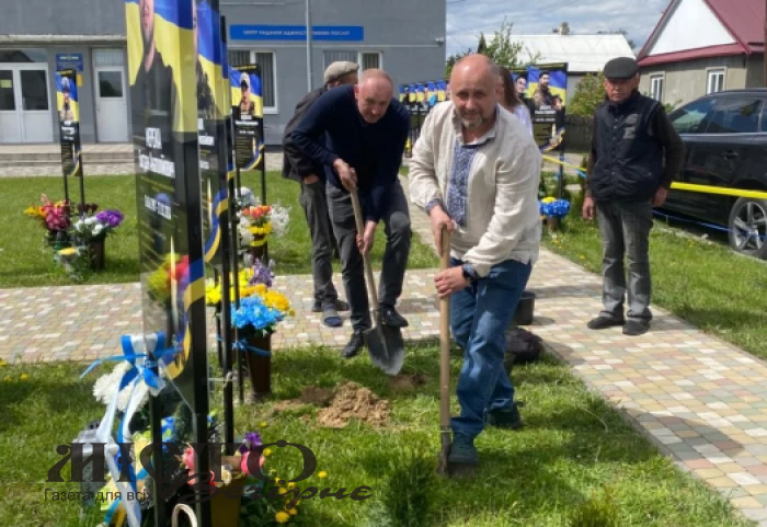 У Затурцях висадили молоді туї на Алеї слави та пам’яті 