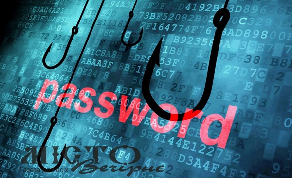 Мешканку Володимирського району шахраї ошукали на 75 тис. гривень 