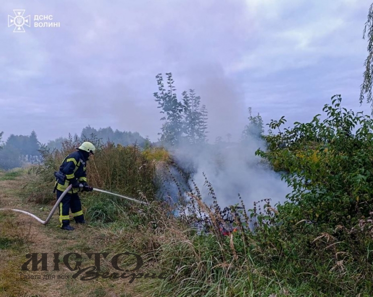 У Нововолинській громаді через дитячі пустощі з вогнем сталася пожежа поблизк кладовище 