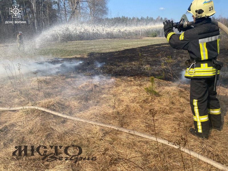 На Волині ліквідовано пожежі в екосистемах 