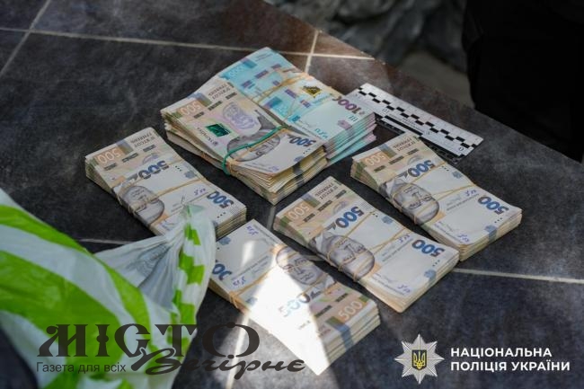 У Володимирі бухгалтерка провернула фінансову аферу на пів мільйона гривень і отримала вирок 