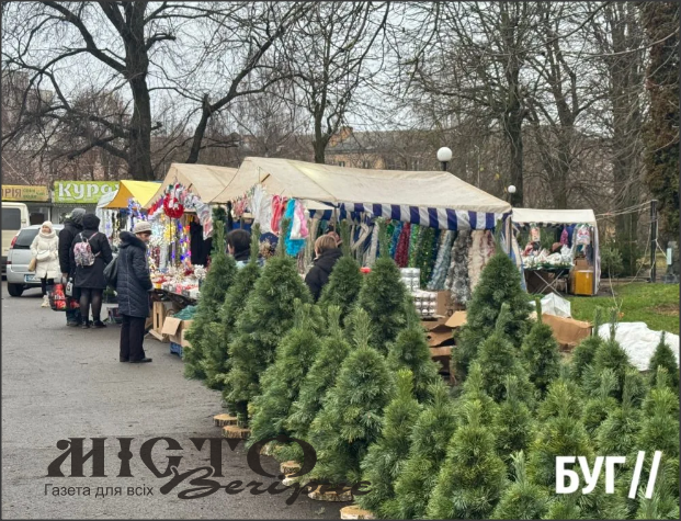У Нововолинську на ринку біля стадіону стартував продаж ялинок та новорічного декору 