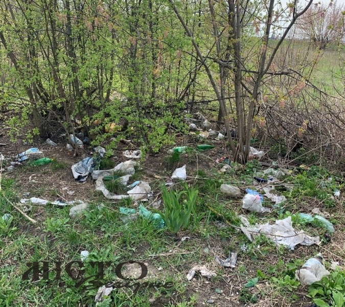 У Володимирі добровольці навели порядок на засміченому узбіччі 