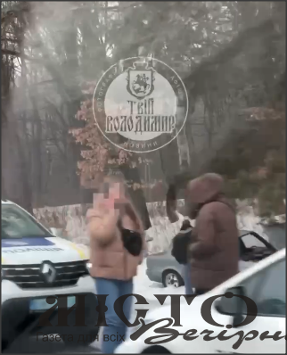 На трасі Володимир-Луцьк автомобіль злетів у кювет: постраждала жінка 