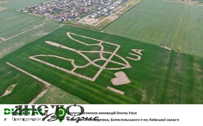 В Україні на поле висіяли найбільший в країні Державний герб 