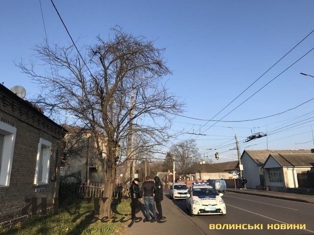 У Луцьку серед білого дня ромка обікрала жінку 