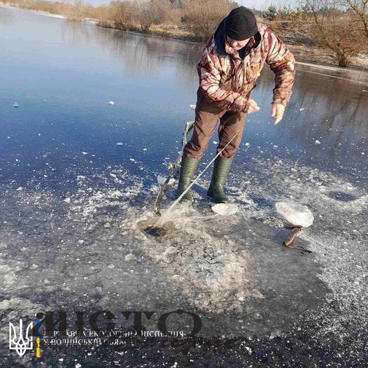 У Володимирському районі врятували птаха, який потрапив у браконьєрські сітки 